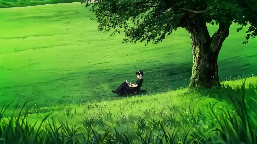 4k大树壁纸-少年 - 树荫-治愈「哲风壁纸」