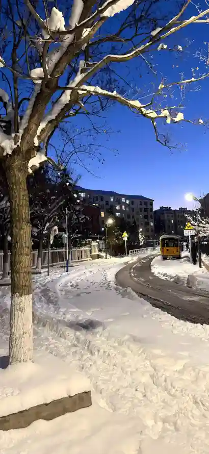 4k冬日壁纸 - 晴朗 - 树木 - 积雪「哲风壁纸」