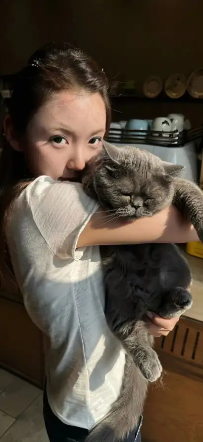 4k宠物壁纸 - 少女 - 居家 - 抱猫「哲风壁纸」