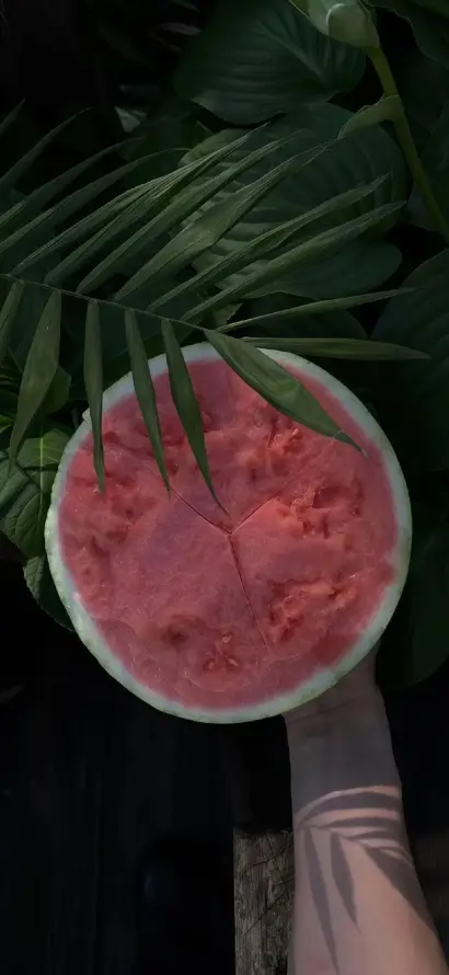 4k夏日壁纸 - 手持 - 植物 - 水果「哲风壁纸」