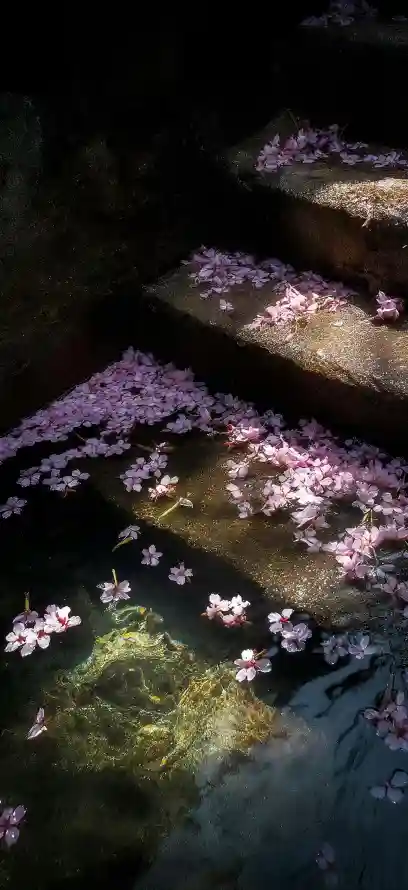 4k暗夜壁纸 - 水景 - 湖水 - 溪流「哲风壁纸」
