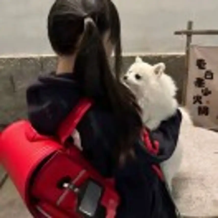 纯真的头像