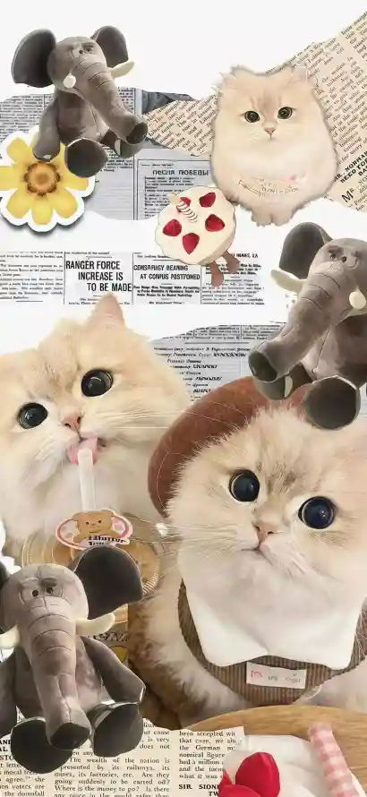 4k可爱壁纸 - 奶猫 - 宠物 - 小猫「哲风壁纸」