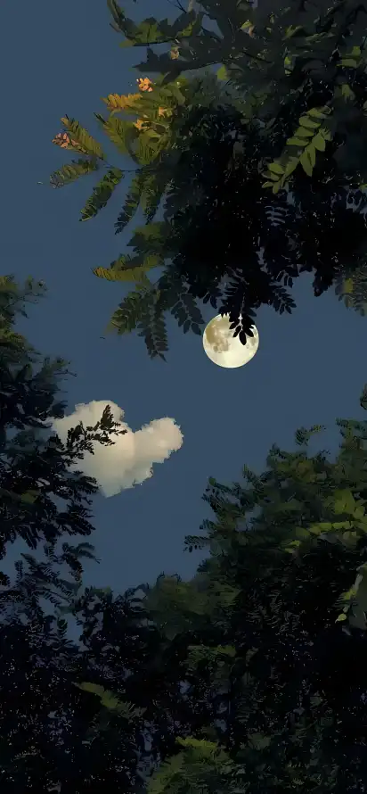 4k云朵壁纸 - 夜景 - 夜空 - 月亮「哲风壁纸」