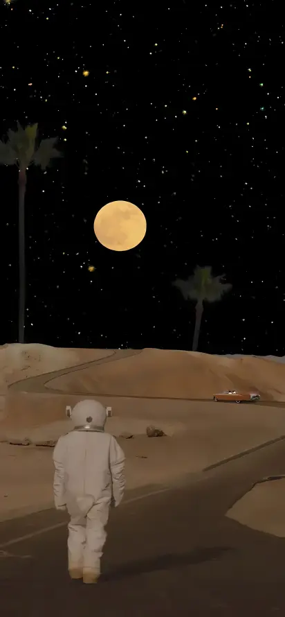 4k夜晚壁纸 - 孤独 - 插画 - 星空「哲风壁纸」