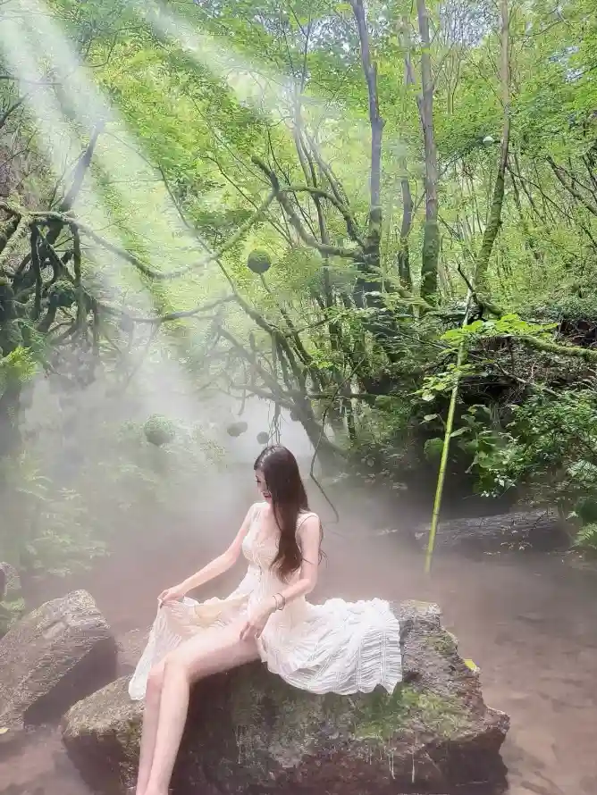 4k写真壁纸 - 岩石 - 林间 - 森林「哲风壁纸」