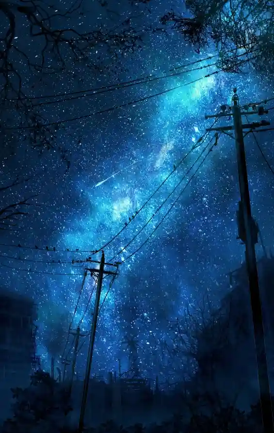 4k剪影壁纸 - 夜空 - 星空 - 树影「哲风壁纸」