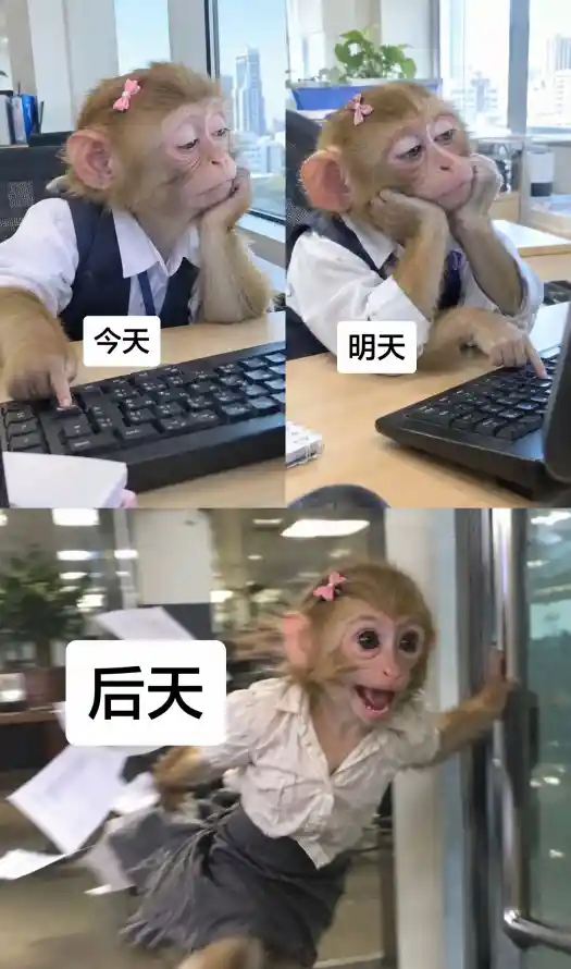 4k上班壁纸 - 吗喽 - 搞笑 - 摸鱼「哲风壁纸」