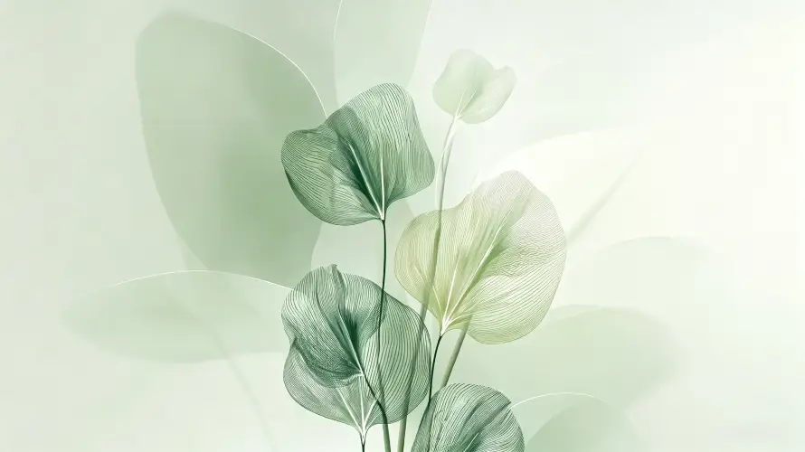 3k光影壁纸-壁纸 - 极简-植物「哲风壁纸」