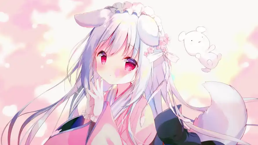 3k兽耳壁纸-可爱 - 少女-白发「哲风壁纸」