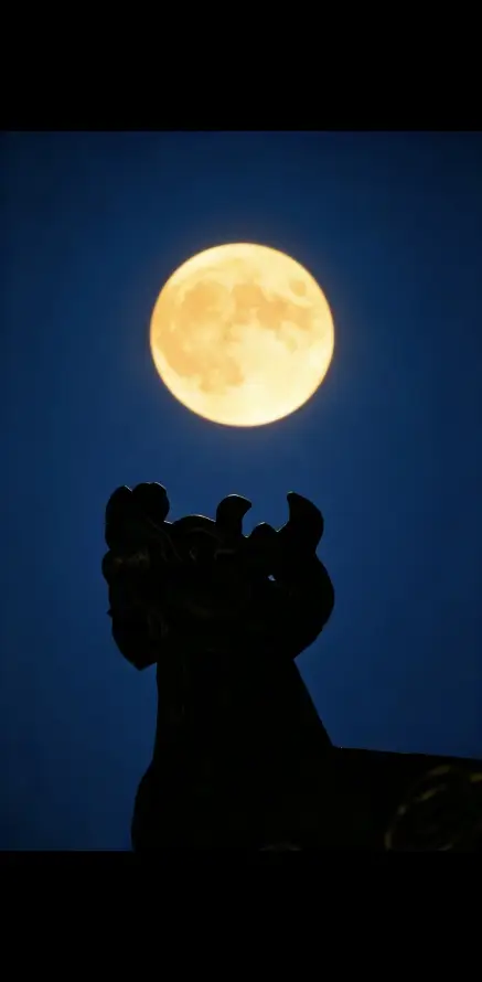 4k夜景壁纸 - 夜空 - 明月 - 月亮「哲风壁纸」
