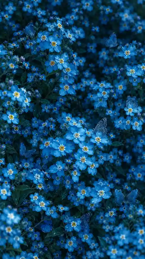 4k寻蝶壁纸 - 思念 - 深蓝 - 花丛「哲风壁纸」