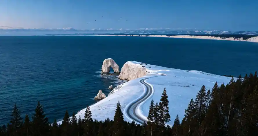 4k松林壁纸 - 海边 - 礁石 - 积雪「哲风壁纸」