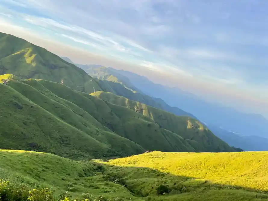 3k花海壁纸-草原 - 草地-蓝天「哲风壁纸」