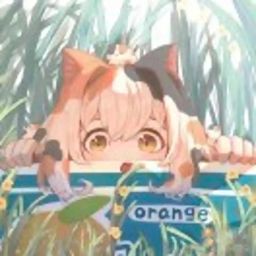   待在绿匣里的猫的头像