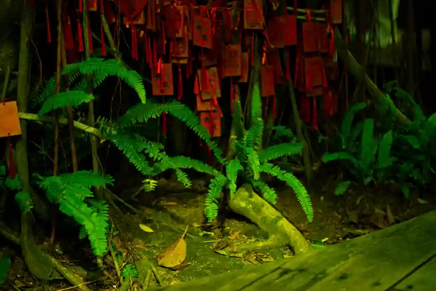 8k幽静壁纸-治愈 - 禅意-绿植「哲风壁纸」