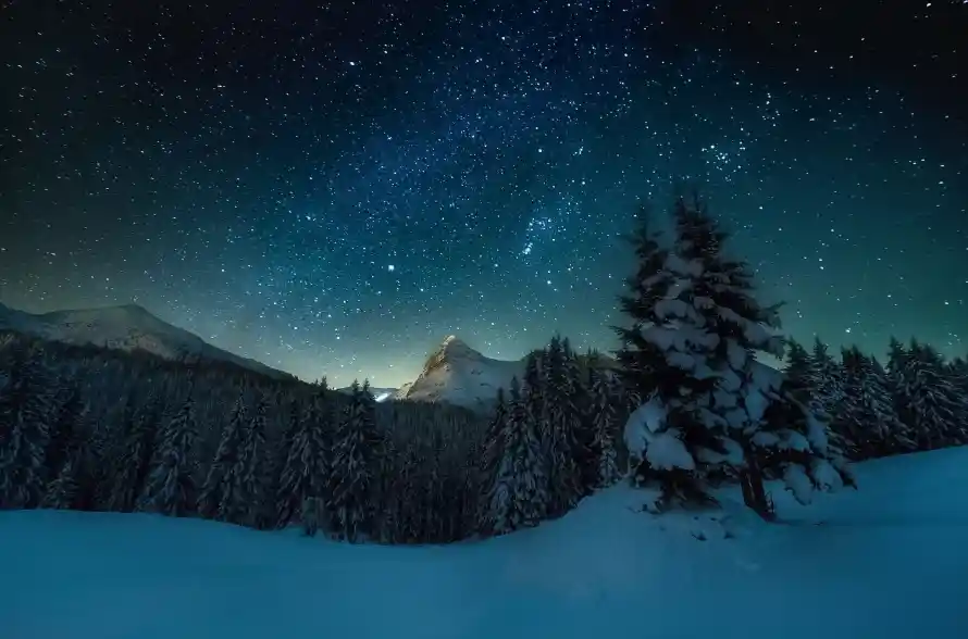 4k森林壁纸 - 夜空 - 夜景 - 星空「哲风壁纸」