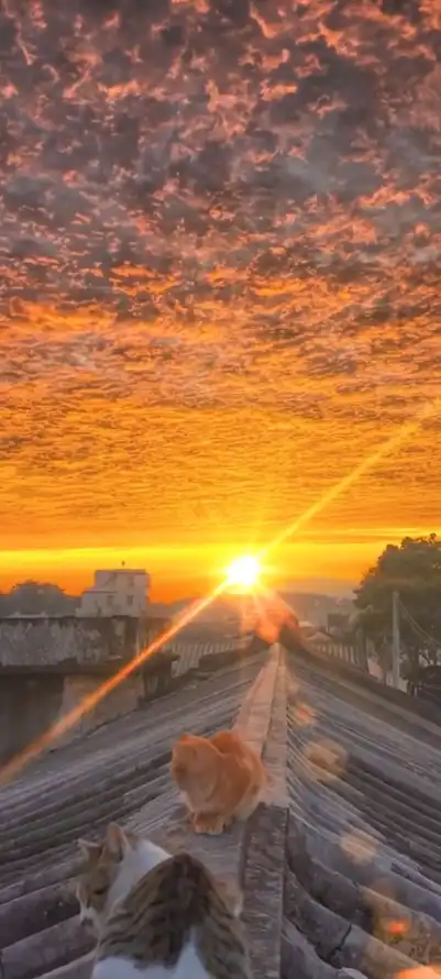 4k夕阳壁纸 - 天空 - 日落 - 晚霞「哲风壁纸」