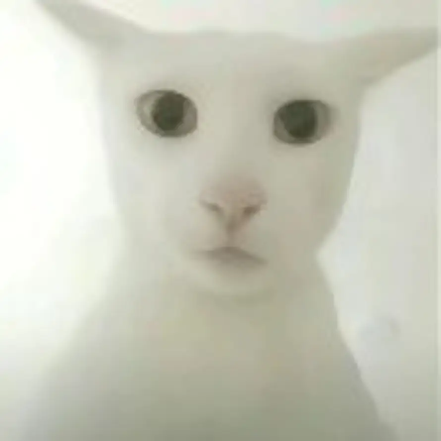 ꫛ℘℘ꫀꪄꪶ的头像
