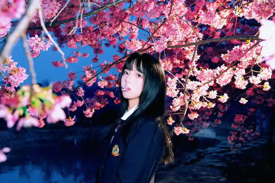 4k夜景壁纸 - 夜樱 - 少女 - 日系「哲风壁纸」 4k夜景壁纸 - 夜樱 - 少女 - 日系「哲风壁纸」