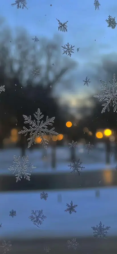 4k路灯壁纸 - 黄昏 - 暖光 - 积雪「哲风壁纸」