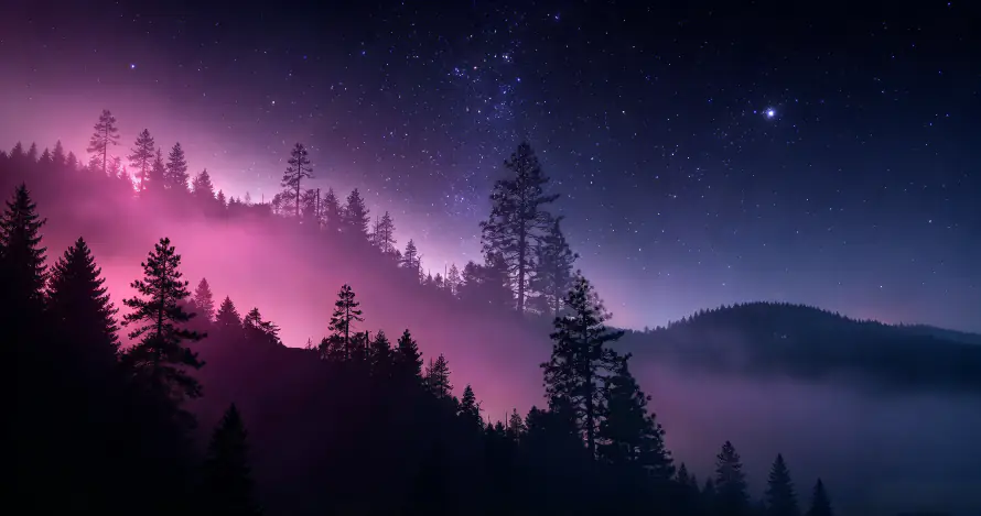 3k剪影壁纸-夜景 - 夜空-山林「哲风壁纸」