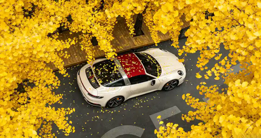 3k俯拍壁纸-汽车 - 秋日-落叶「哲风壁纸」
