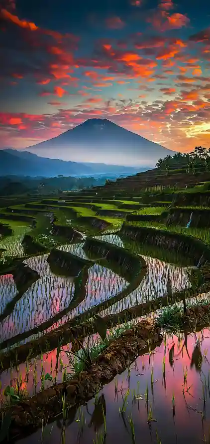 《巴厘岛》手机壁纸-自然环境图片-自然景观背景-人们在自然界「哲风壁纸」