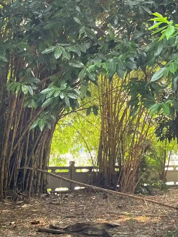 阳光正好微风拂面 - 壁纸图片1
