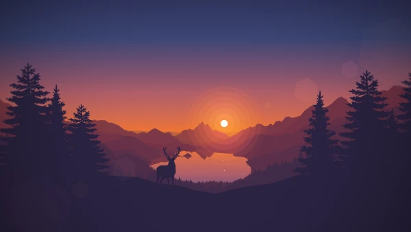 Favorite Image