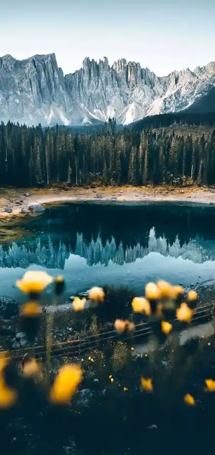 《水资源》手机壁纸-自然景观背景-自然景观「哲风壁纸」