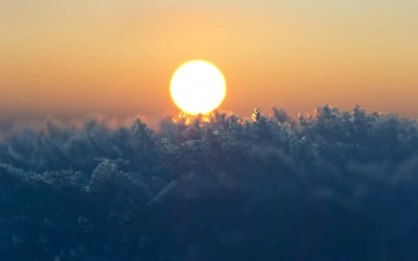 3k太阳壁纸-寒冷的 - 户外-壁纸分享「哲风壁纸」