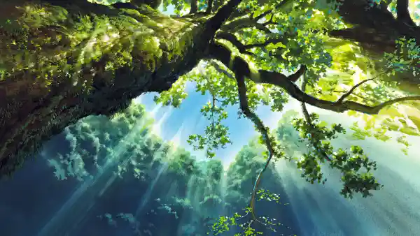 2k天空壁纸-动画片壁纸和树-日本动画片壁纸分享「哲风壁纸」