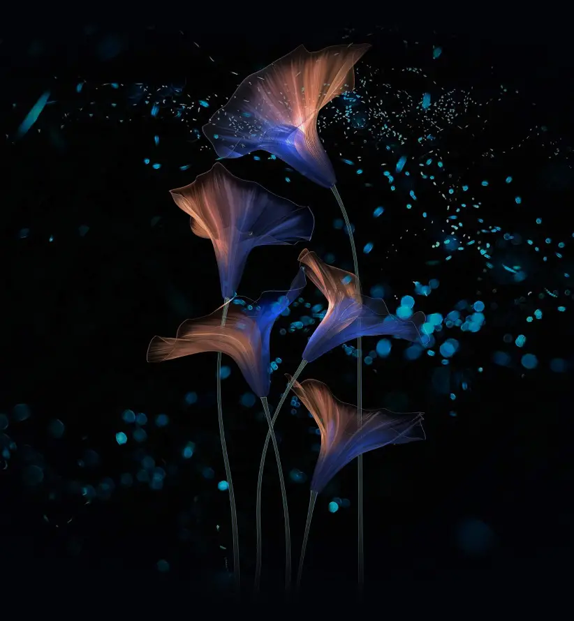 4k壁纸 - Huawei - Honor Magic 2 - wallpaper「哲风壁纸」