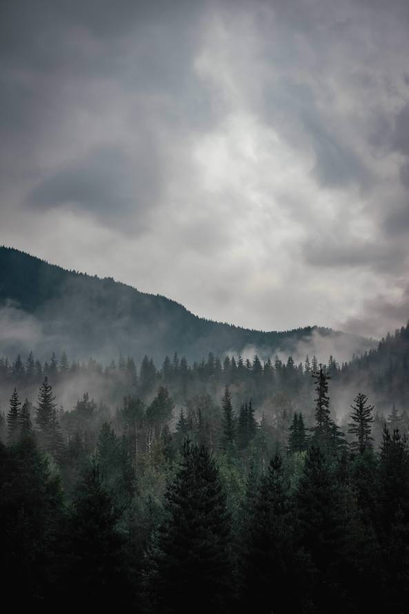 《高地》手机壁纸-自然环境背景-自然景观背景-高地「哲风壁纸」