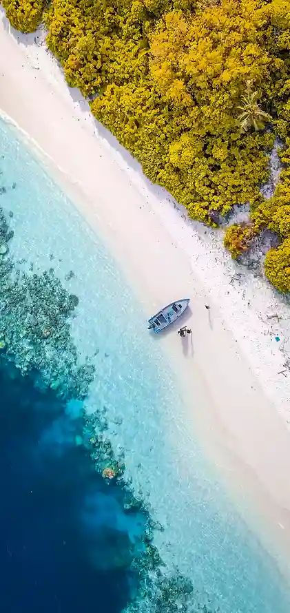 《数学》手机壁纸-绿色的背景-水资源「哲风壁纸」