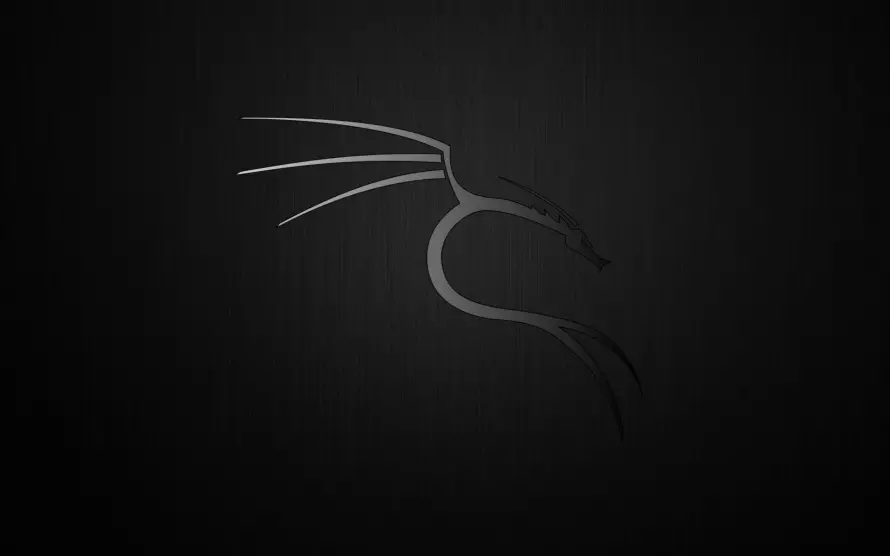 2k壁纸-kali - Linux-热门的壁纸「哲风壁纸」