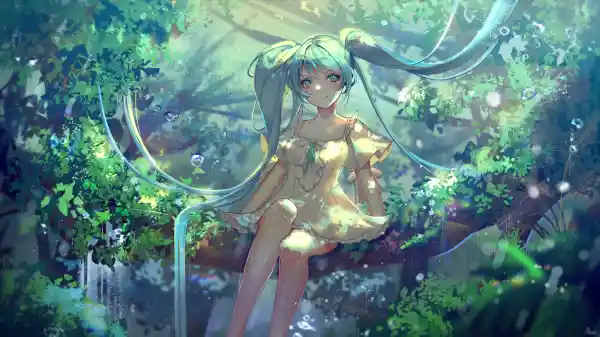 Favorite Image