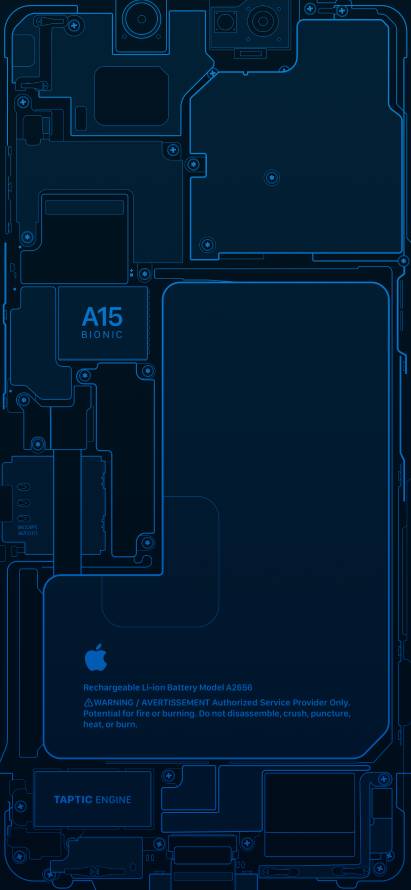 《苹果》手机壁纸-15仿生背景-Apple-IPhone「哲风壁纸」