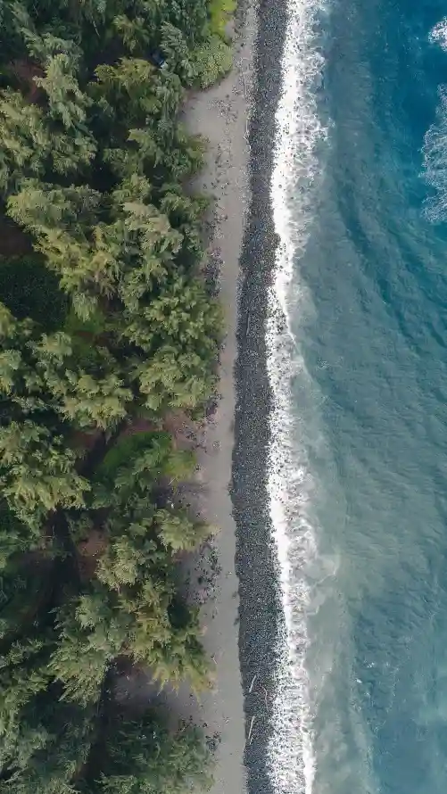 4k水道壁纸 - 植被 - 海岸 - 岸边「哲风壁纸」