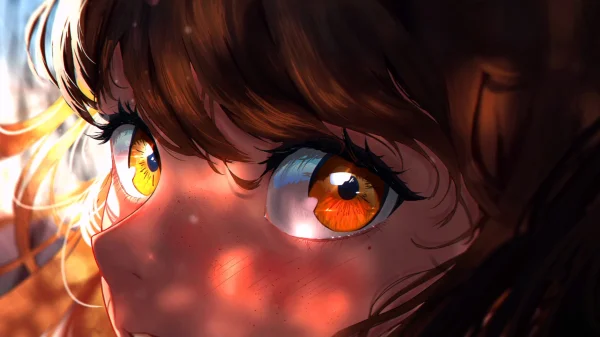Favorite Image