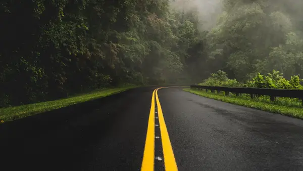 2k景观壁纸-湿滑的道路壁纸和森林-植物壁纸分享「哲风壁纸」