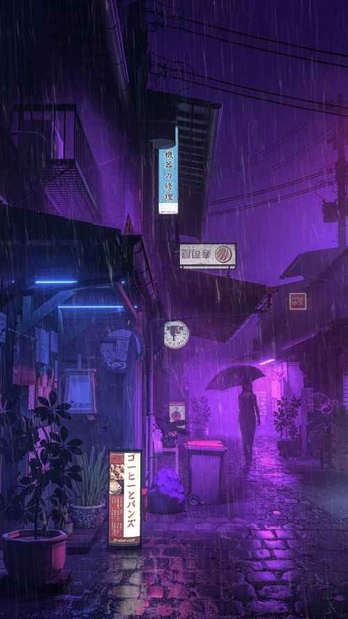 4k午夜壁纸 - 城市 - 盆栽 - 花盆「哲风壁纸」