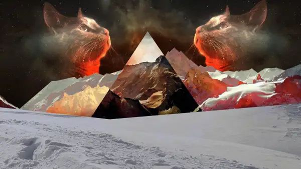 Favorite Image