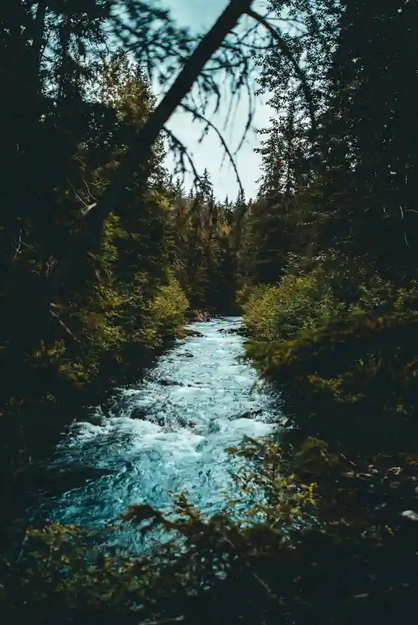 4k性质壁纸 - 水道 - 自然景观 - 生物群落「哲风壁纸」