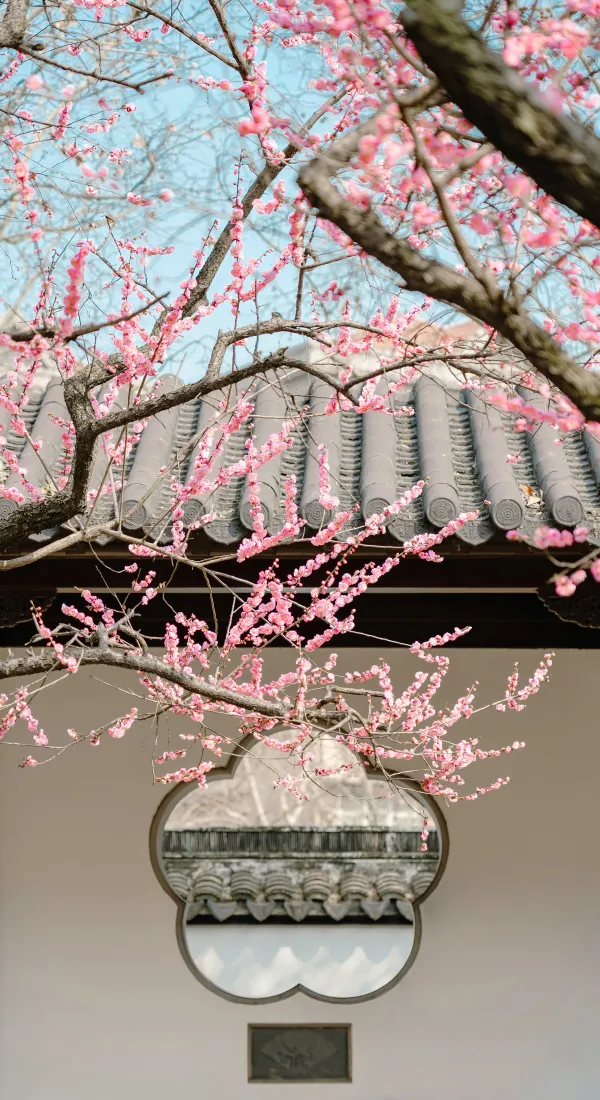 《风景》手机壁纸-8K背景-壁纸分享「哲风壁纸」