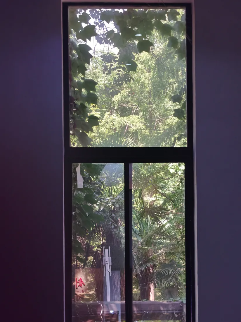 《自由》手机壁纸-风景-免费下载「哲风壁纸」