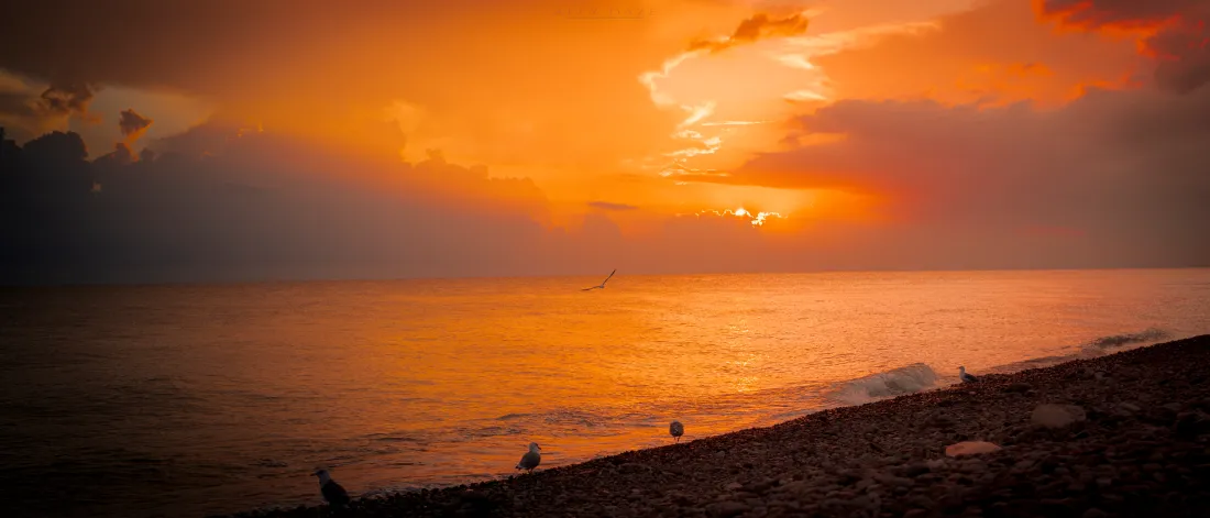 6k海边看夕阳的壁纸分享「哲风壁纸」