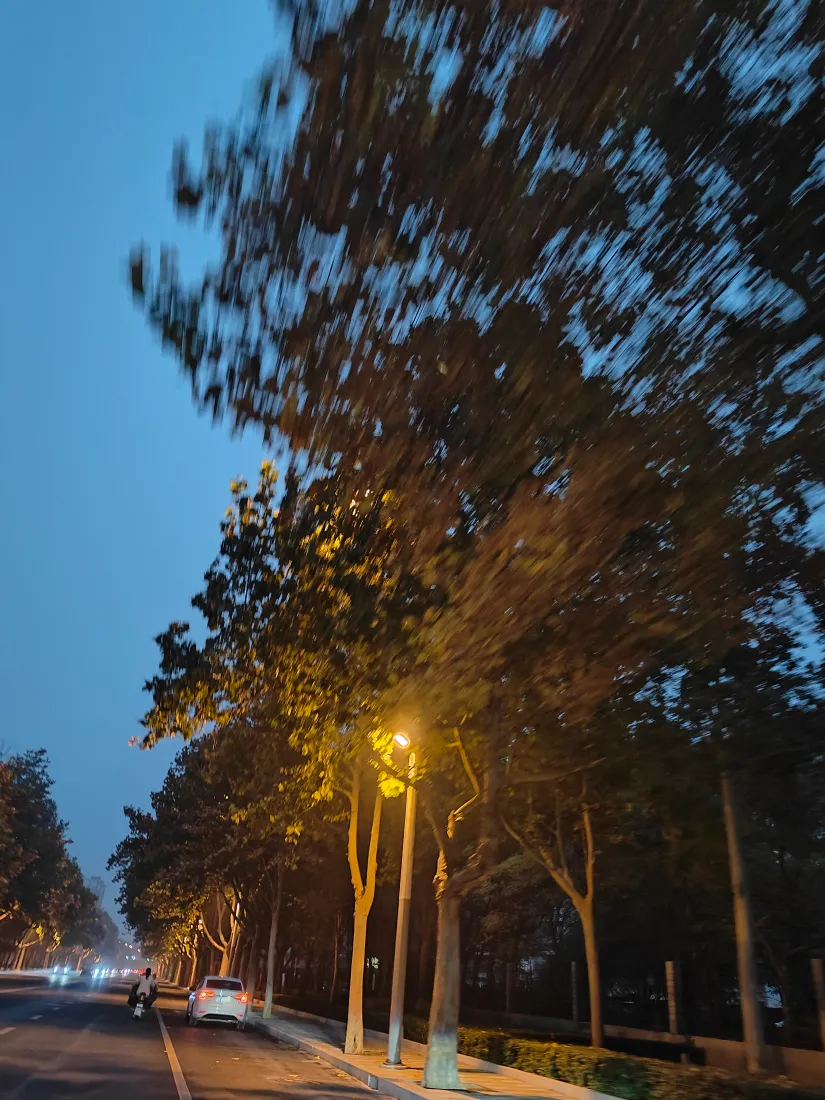 《冷清》手机壁纸-昏黄背景图片秋天「哲风壁纸」