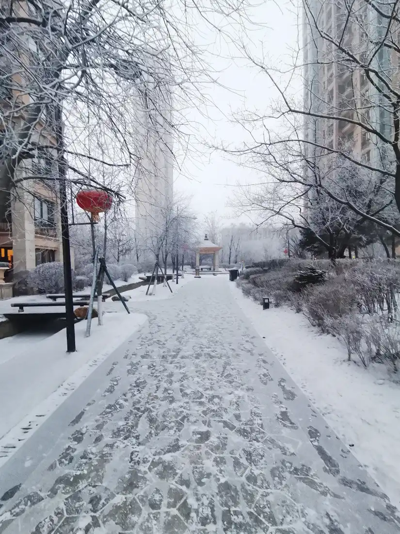 雪后景观小路壁纸｜唯美雪景背景图片 - 冬日「哲风壁纸」